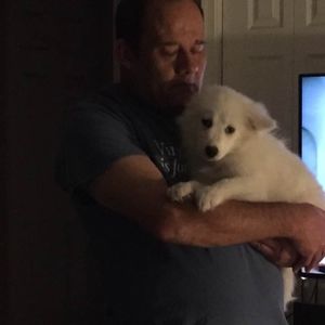 Meet your Posher, James